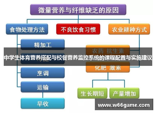 中学生体育营养搭配与校餐营养监控系统的课程配置与实施建议